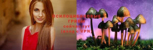 экстази Богородицк