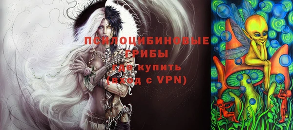 экстази Богородицк