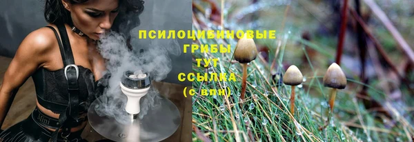 экстази Богородицк