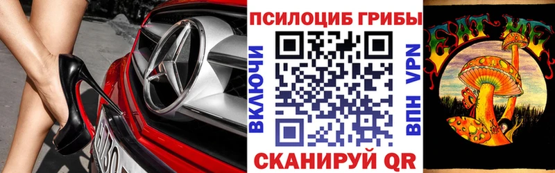 hydra маркетплейс  закладки  Яблоновский  Псилоцибиновые грибы Psilocybe 