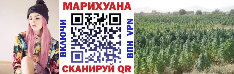 Бошки Шишки семена  Яблоновский 